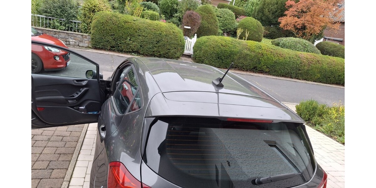 Ford Fiesta 7.900 km 13.500 &euro; Winningen 56333