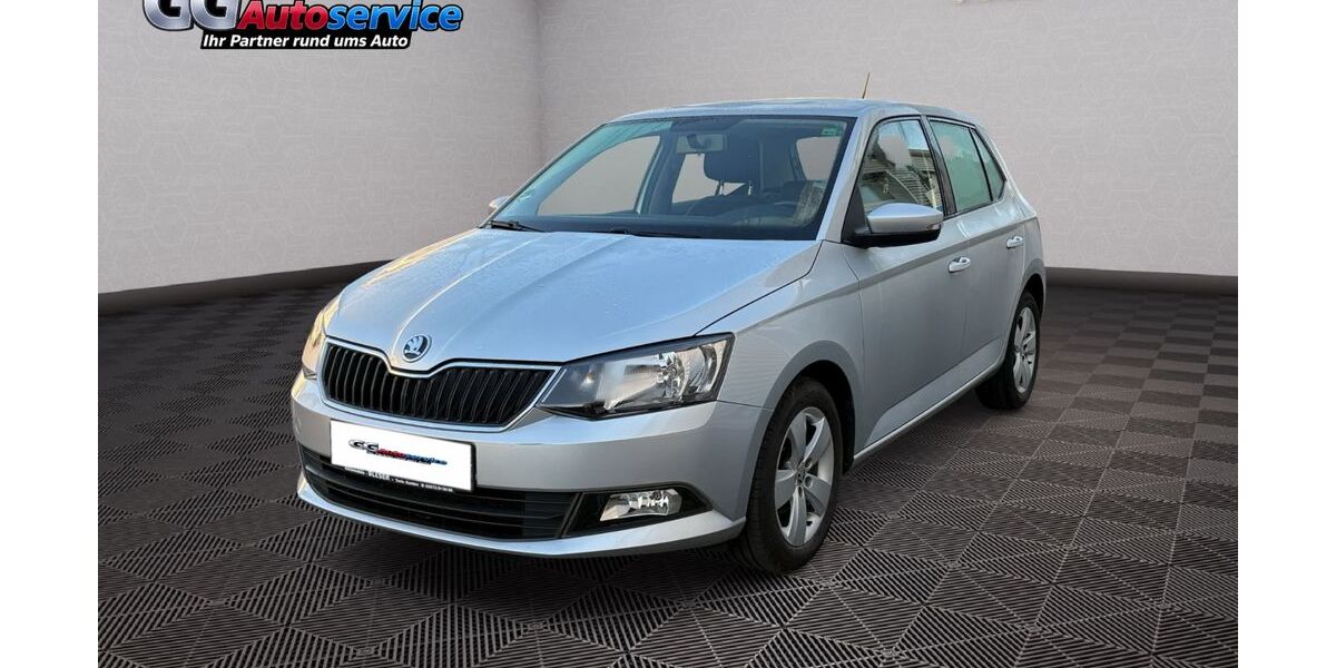Skoda Fabia 131.000 km 7.990 &euro; Neuwied 56564
