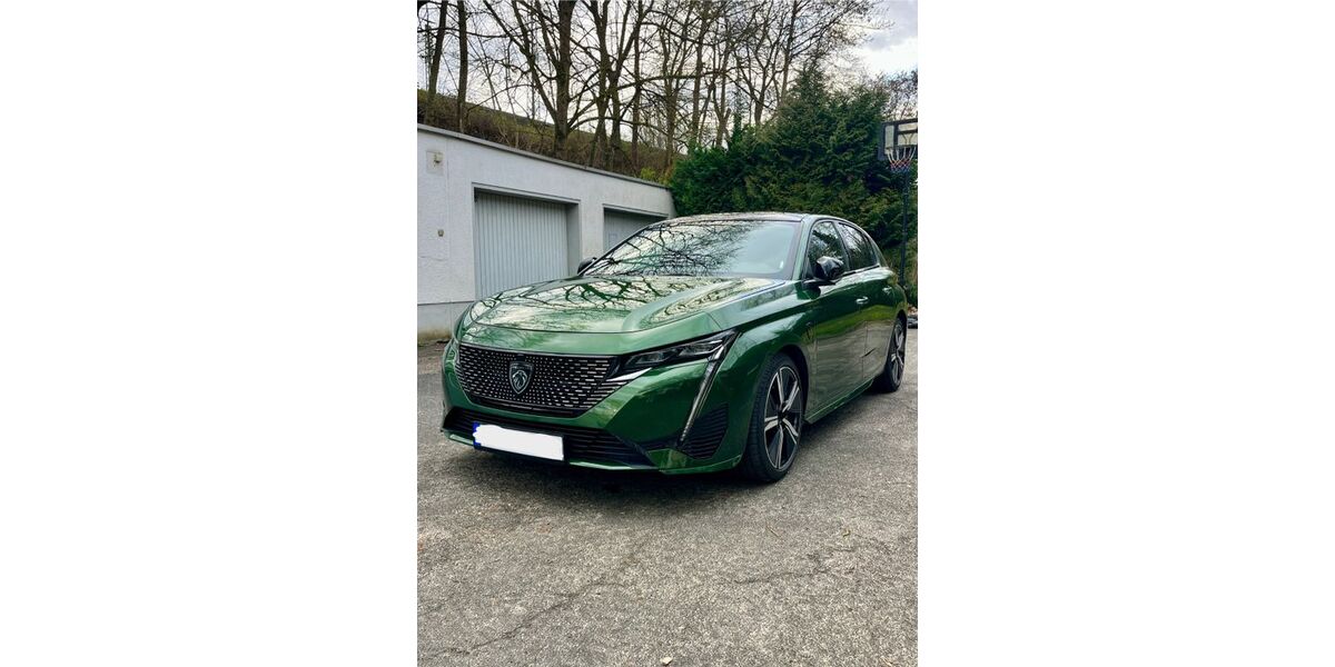 Peugeot 308 19.037 km 22.450 &euro; Koblenz 56068