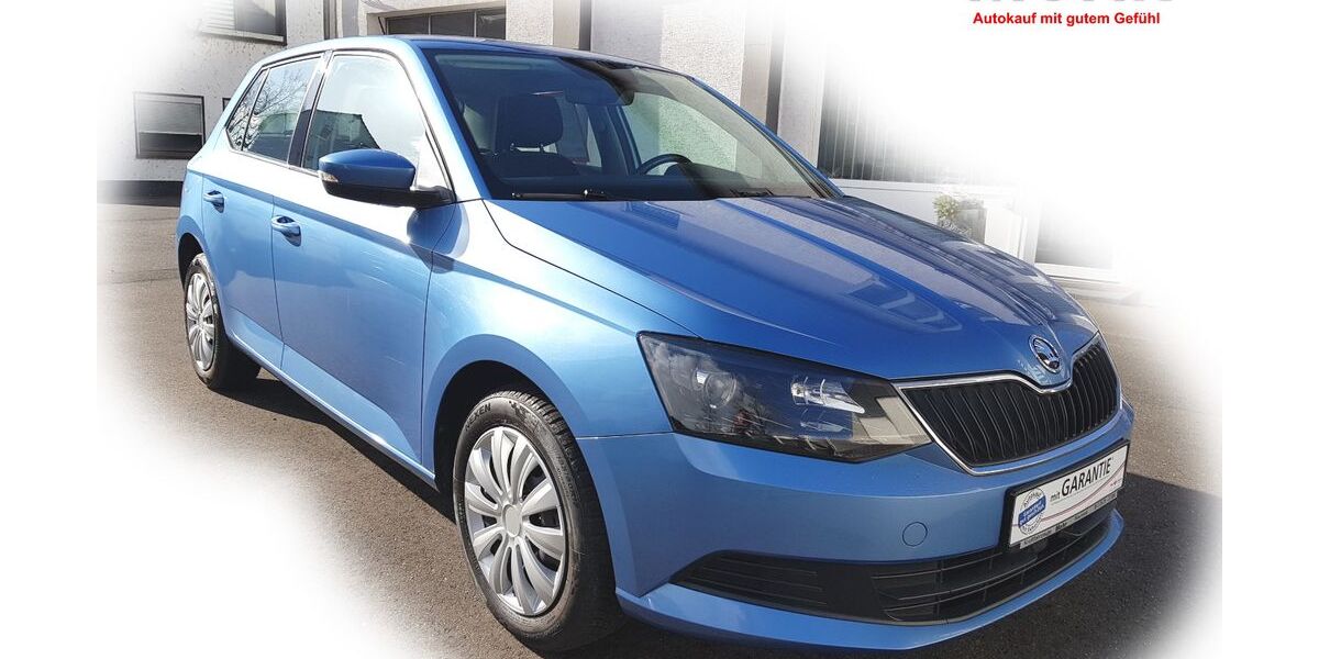 Skoda Fabia 74.800 km 8.980 &euro; Neuwied 56564