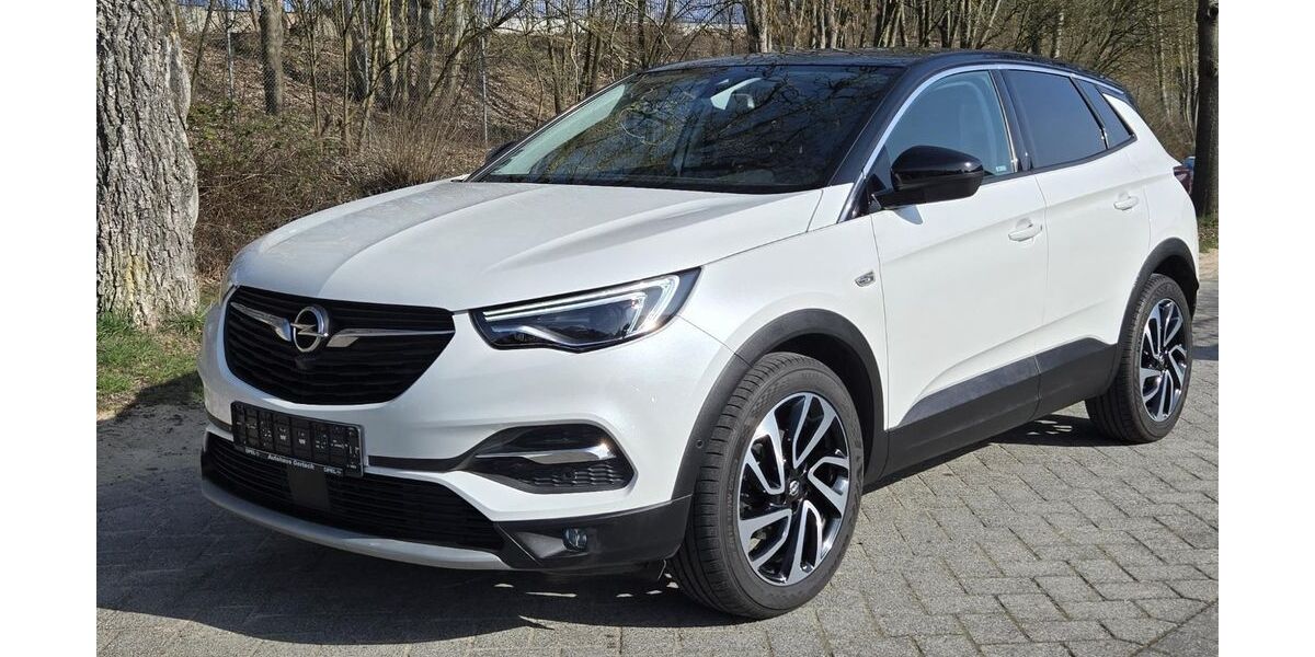 Opel Grandland (X) 96.682 km 10.700 &euro; Selters 56242