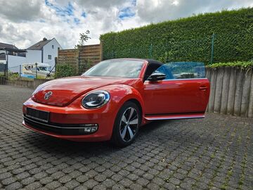 Gebrauchte VW Beetle